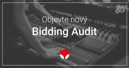 Bidding Audit