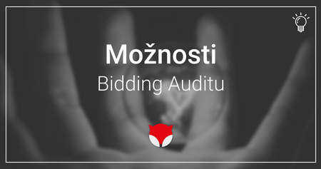 Bidding Audit